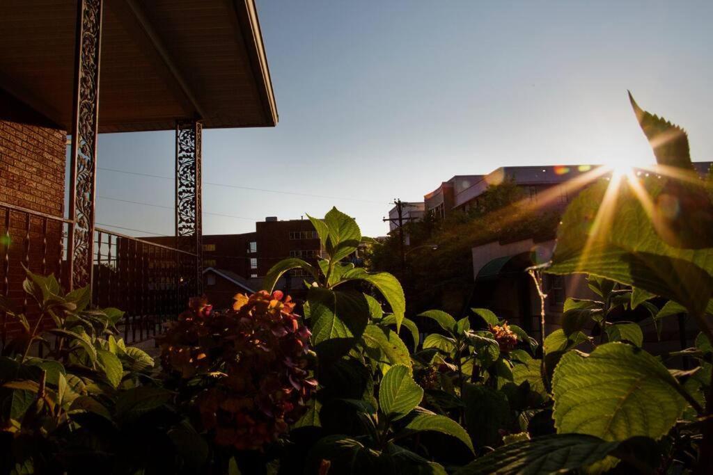 Apartment Hilltop Hideaway - 3bdr In Downtown London, Ky